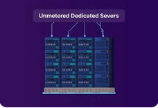 The Ultimate Guide to Cheap Unmetered Dedicated Servers: Maximizing Performance on a Budget