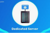 Top Dedicated Servers: The Ultimate Guide to Powerful Hosting Solutions