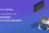 Understanding Unmetered Dedicated Servers: The Ultimate Guide