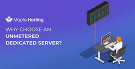 Understanding Unmetered Dedicated Servers: The Ultimate Guide