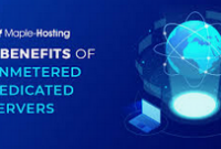 The Ultimate Guide to Unmetered Dedicated Server Hosting: Unlimited Potential for Your Business