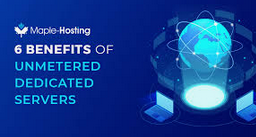 The Ultimate Guide to Unmetered Dedicated Server Hosting: Unlimited Potential for Your Business