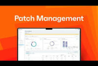 Choosing the Best Patch Management Vendors