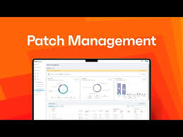 Choosing the Best Patch Management Vendors