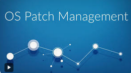 A Comprehensive Guide to Operating System Patch Management: Enhancing Security and Performance